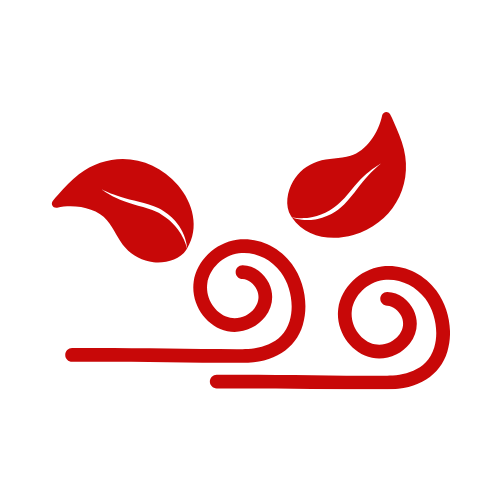 Dennis Auto Details - clean air icon