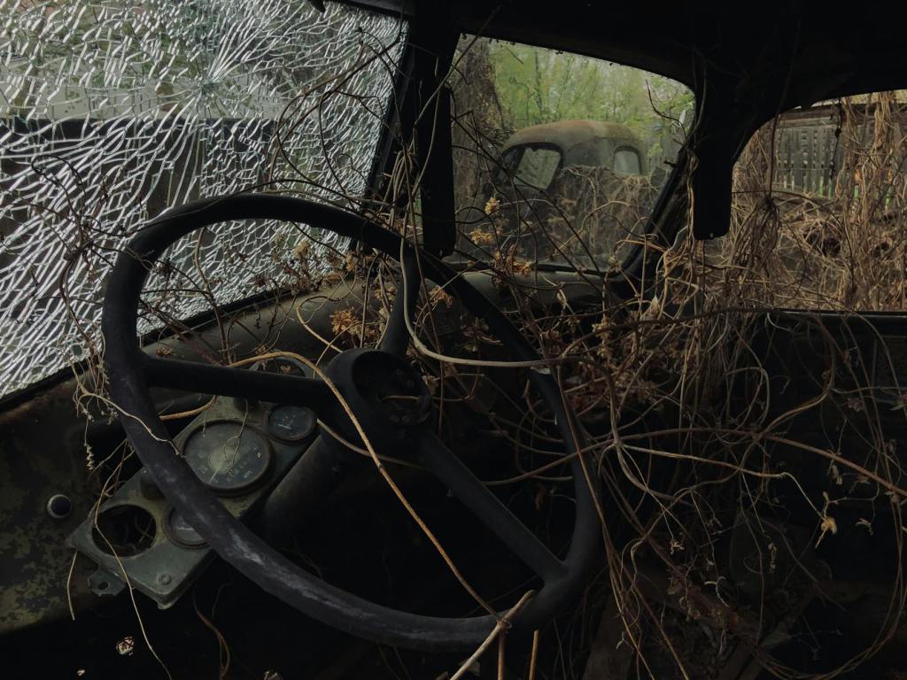 dried vines inside an abandoned car
