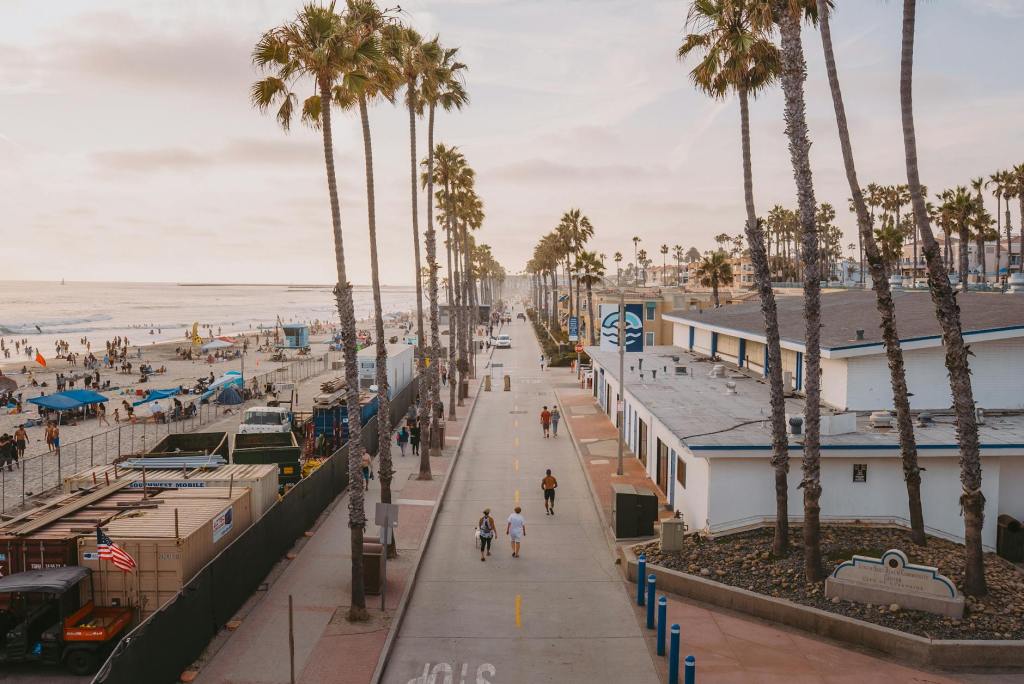 street with palm tree near beach in town