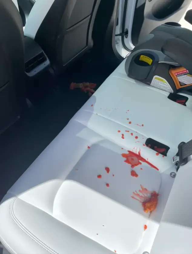 Ketchup and Tomato-Based Stains Car seat