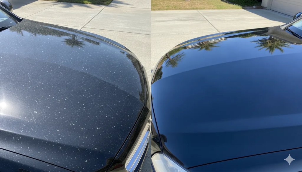 Before and after comparison of San Diego summer car paint damage versus professionally detailed and protected paint
